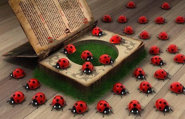 Ladybug - symbol of divine help and protection