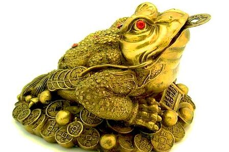 Magic Magic Toad