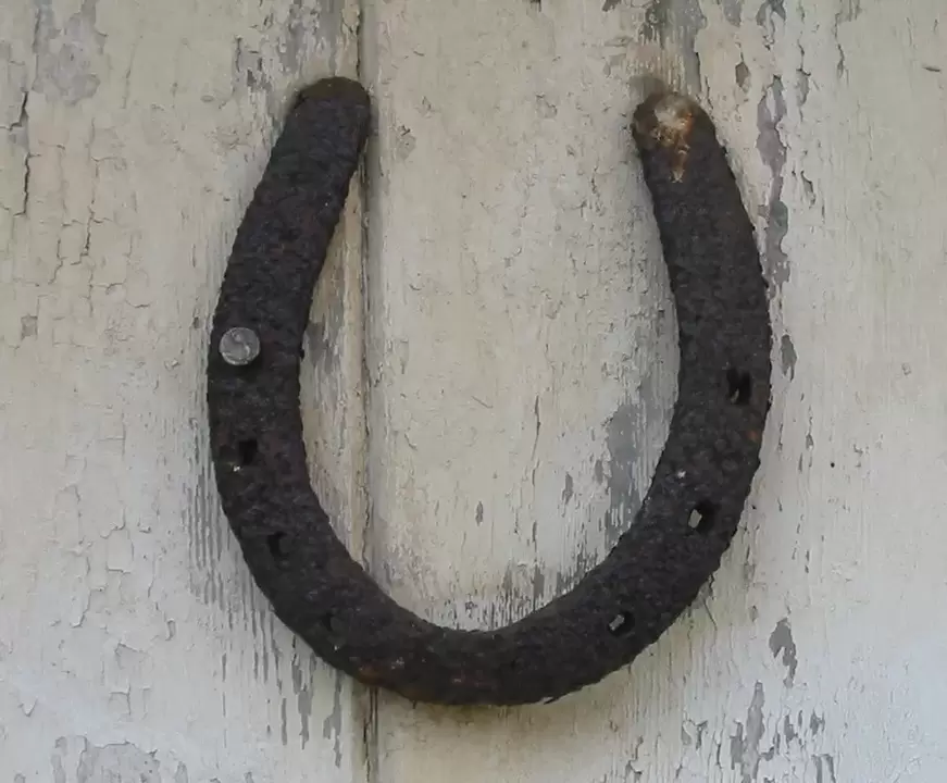 lucky charm - horseshoe