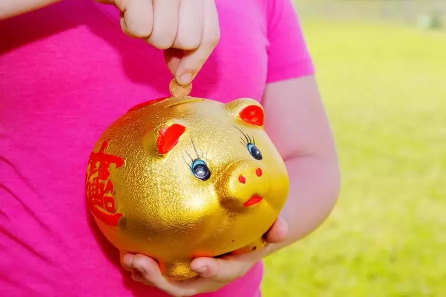 lucky charm - pig